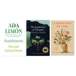 Contemporary Poetry Voices 3-Book Collection: Award-Winning Poets